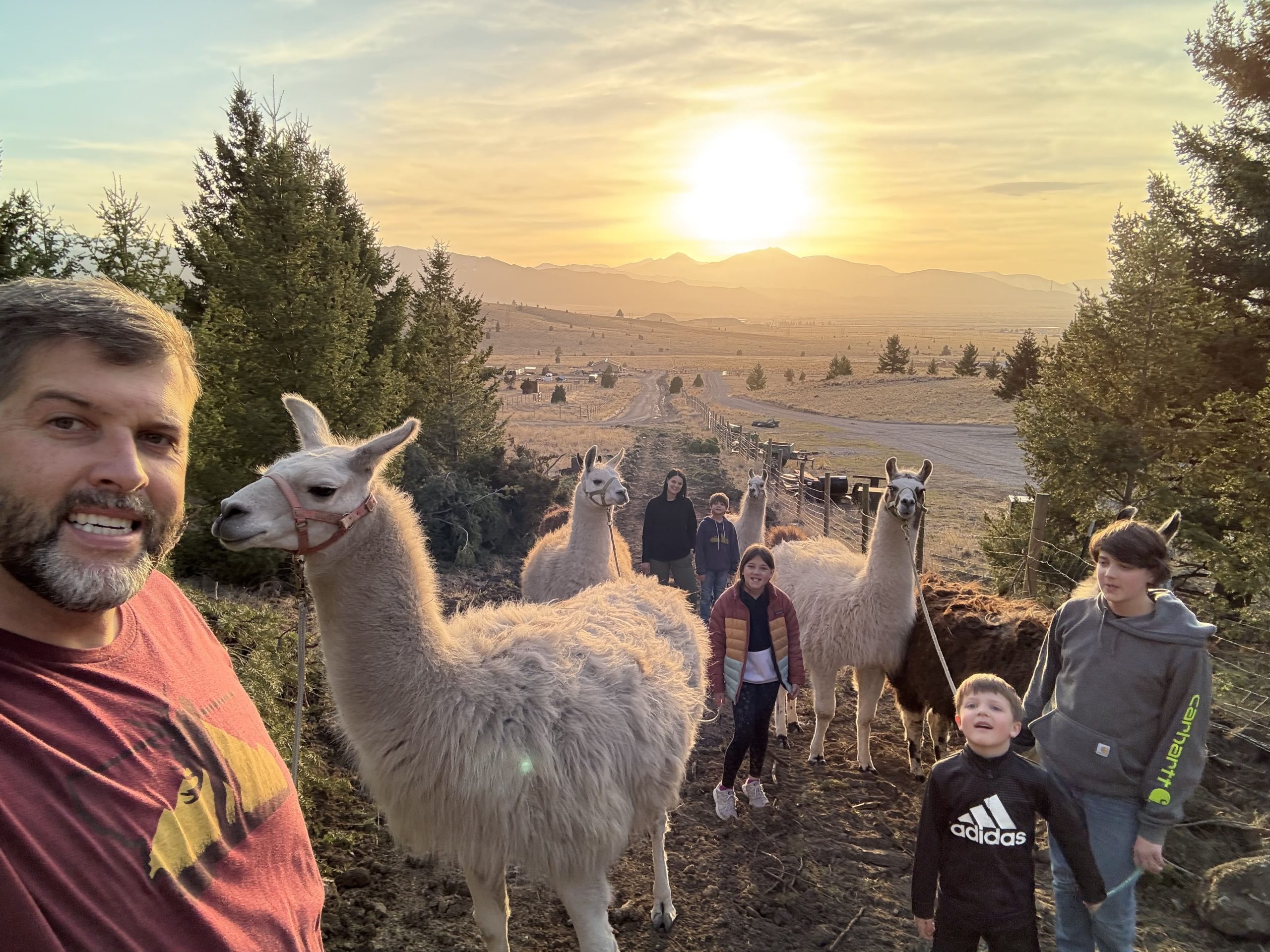 A group of people and several llamas stand on a dirt path in a rural area at sunset, with mountains and trees in the background.